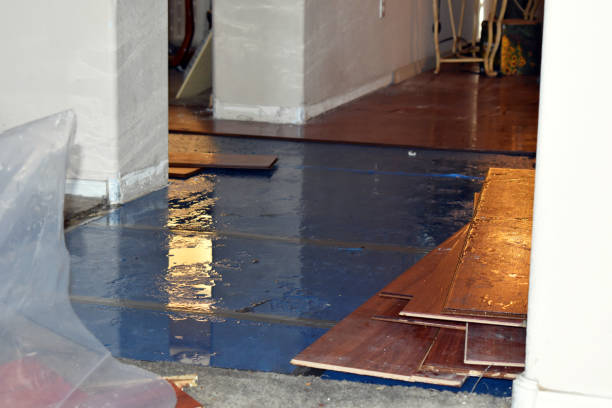 Professional Basement Flooding technician working in Brightwood, OR